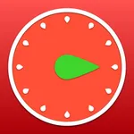 Pro Timer - Time Manager & Goal Tracker icon