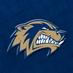 Bentonville West Wolverines icon