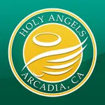 Holy Angels School icon