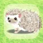 Hedgehog Pet icon