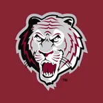 Campbellsville Tigers icon