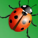 Funny match - Classic version icon