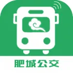 肥城掌上公交 icon