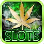 Dream of Weed Slot Machines – Free Slots & Casino icon