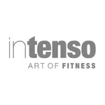 Intenso icon