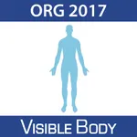 For Organizations - 2017 Human Anatomy Atlas icon