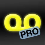 Quantiloop Pro - Live Looper icon