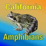 California Amphibians icon