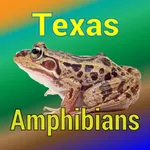 Texas Amphibians icon