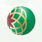 DIB Pakistan icon