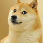 Doge icon