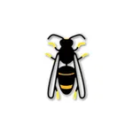 Asian Hornet Watch icon