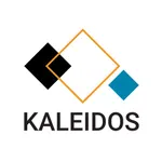 BIG Kaleidos icon