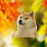 Doge Memes Faces - stickers meme pack for iMessage icon