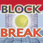 BLOCK BREAK 3D icon