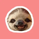 Sloths icon