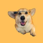 Corky Corgi icon