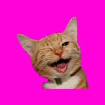 Funny Animals memes stickers pack for iMessage icon