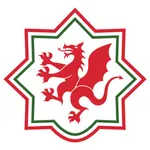 Ysgol Treffynnon icon