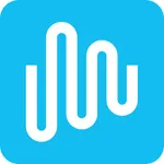 Intulse App icon