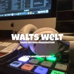 RADIO WALTS WELT icon