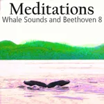 Meditations Whales Beethoven 8 icon