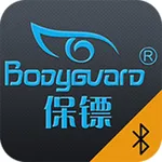 Baobiao Guards icon