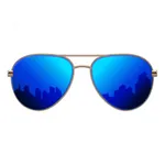 Ultimate Sunglasses Collection icon