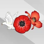 Remembrance Day & Veterans Day icon