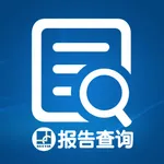 报告查询 icon