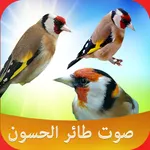 اصوات الطيور icon