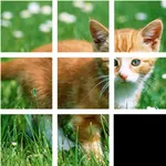 Jigsaw Animal icon