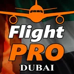 Pro Flight Simulator Dubai 4K icon