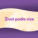 Život podle vize (čeština) icon