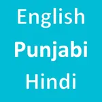 English To Punjabi Hindi icon