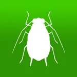 BugFinder icon