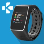 ZeWatch4 icon