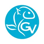 Grupo Videla Messenger icon