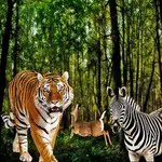 Angry Leopard Multi player AI-A Simulation Game icon