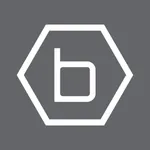 b·hyve lite icon