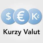 Kurzy valut icon