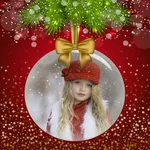 Winter Merry Xmas Photo Frames icon