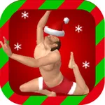 Christmas Simulator icon