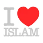 ilove-islam.com icon