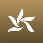 Peti element studio icon