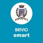 Brivio Smart icon