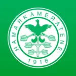 HamKam icon