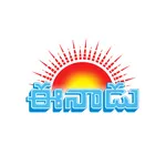 Eenadu News Official app icon
