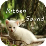 Kitten Sounds – Cat Meow Sound icon