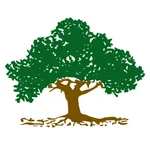 1stbago Mobile Banking icon